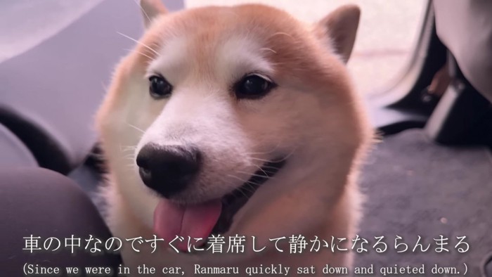 素敵なサプライズにホッコリ