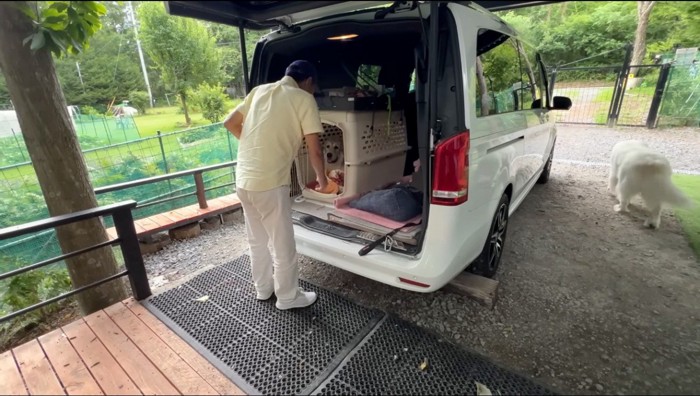 車の後部ドアを開ける男性