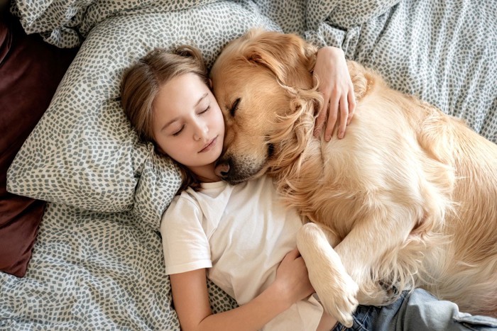 女の子に寄り添って寝ている犬