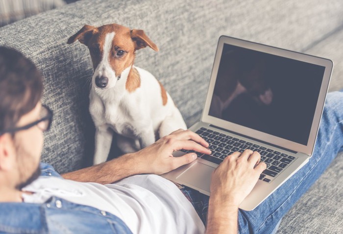 パソコンとソファーに座る男性と犬