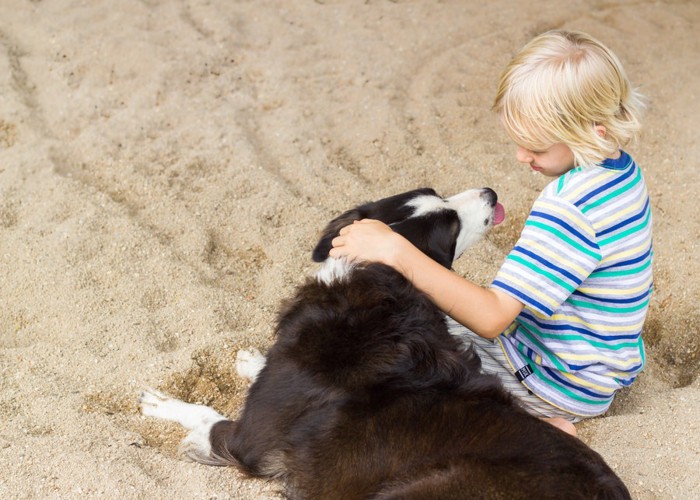 子どもと犬