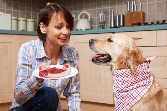 肉を食べる犬