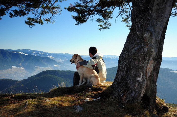 山の景色を楽しんでいる若い男性とその彼の犬