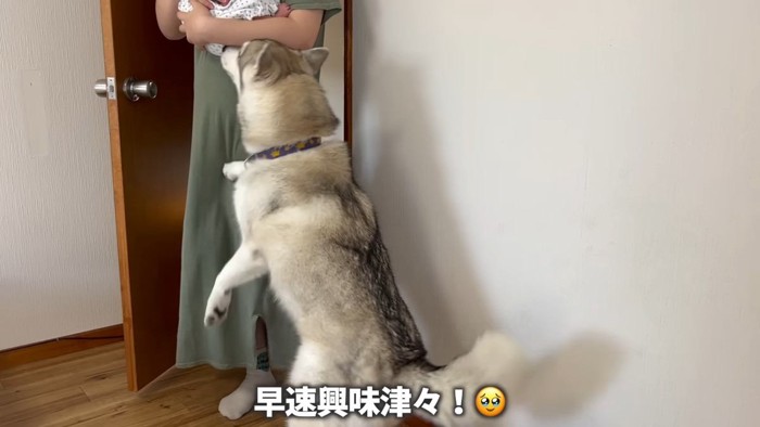 「それだあれ！？」