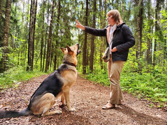 森でお座りをする犬と合図をだす女性