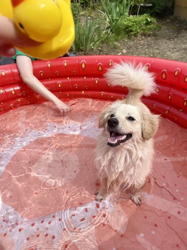 気持ちよさそう