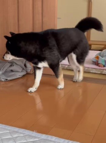 そっと退散する姿にクスッ