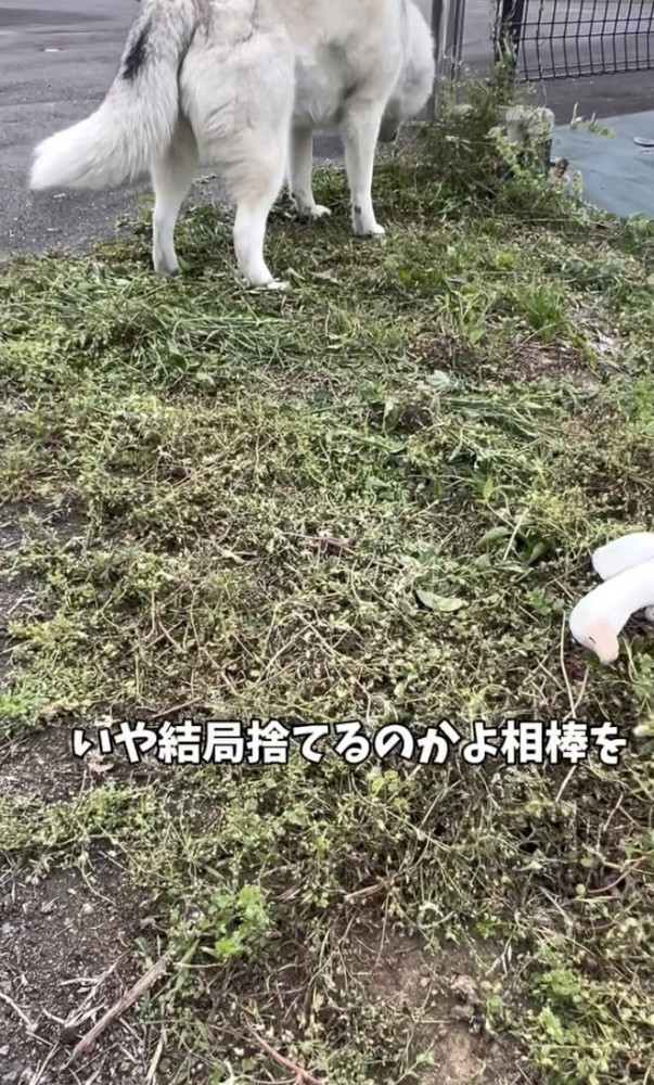 あれ…？？