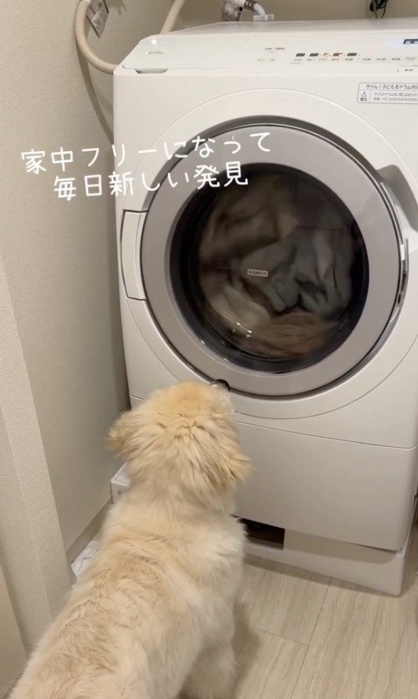 じーっ