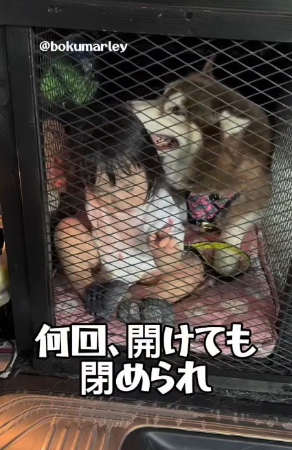 「ママはダメ!!」