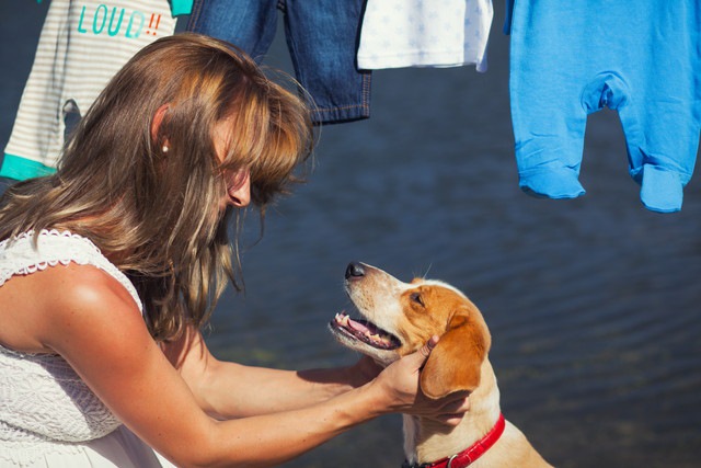 撫でられて気持ち良さそうにする犬