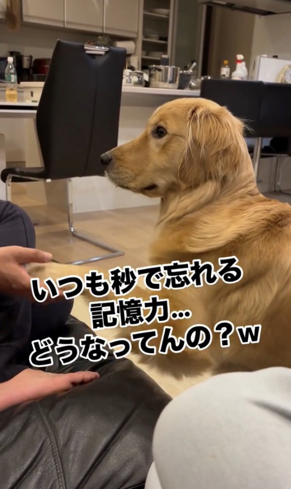 重めのお手