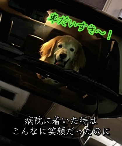 素敵な笑顔！