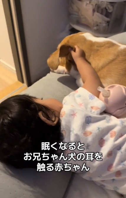 耳をめくる赤ちゃん