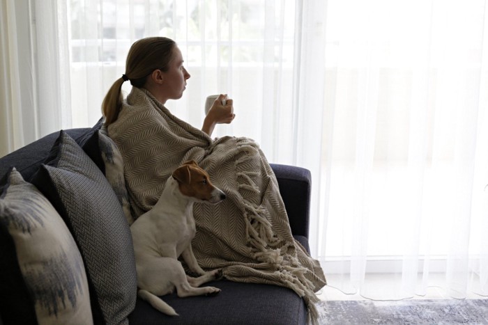 ソファーに一緒に座る女性と犬