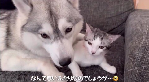 くぅちゃんを離さないりりたん⑩