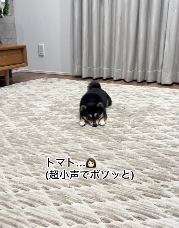 リラックス中に「トマト」と言ったら…