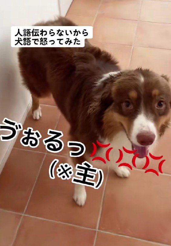 「どうしたの…？」