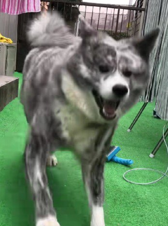 「おかえり！！」
