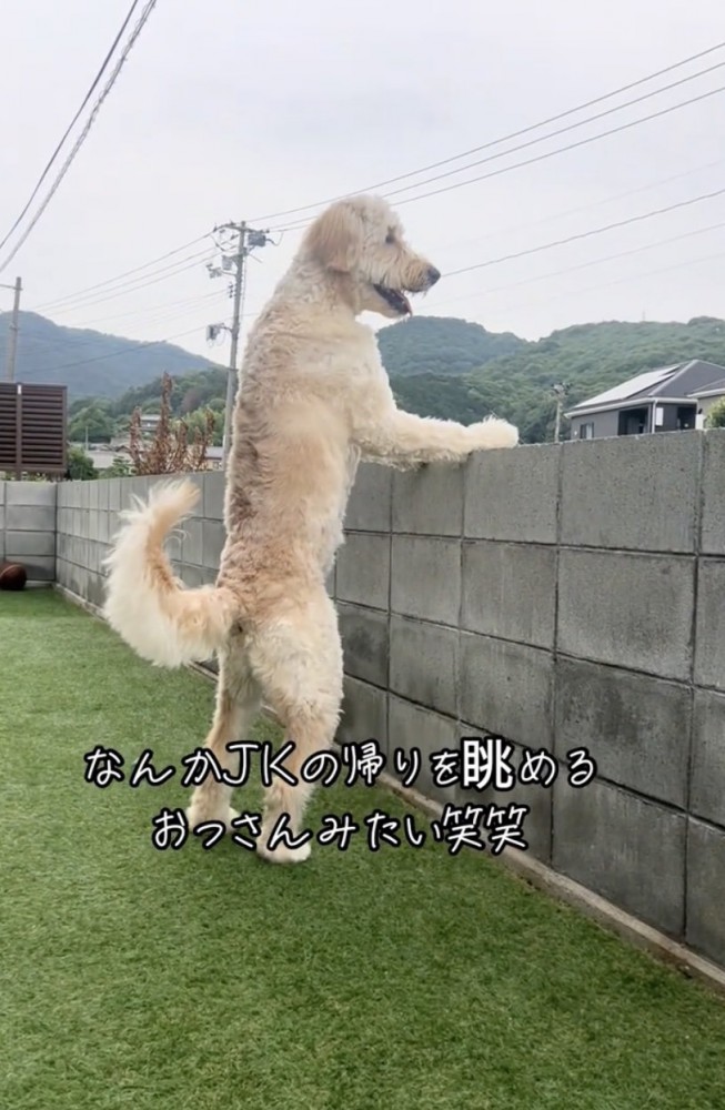 隠しきれないおっさん感
