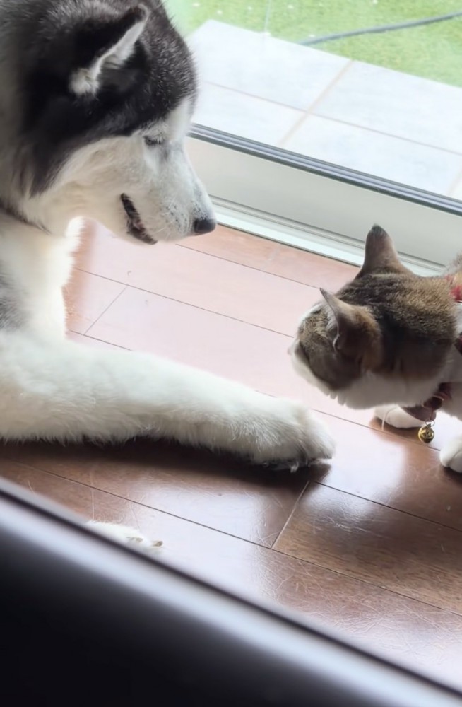 怒られないようにゆっくり、ゆっくり…
