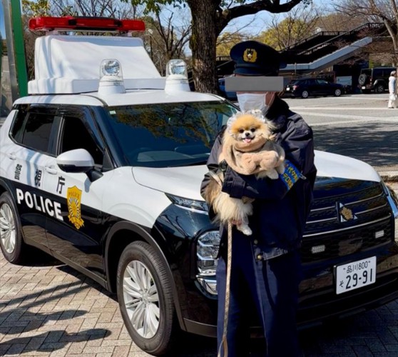 逮捕
