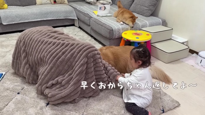 「おからちゃんを返して！」