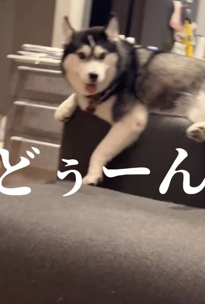 衝突する