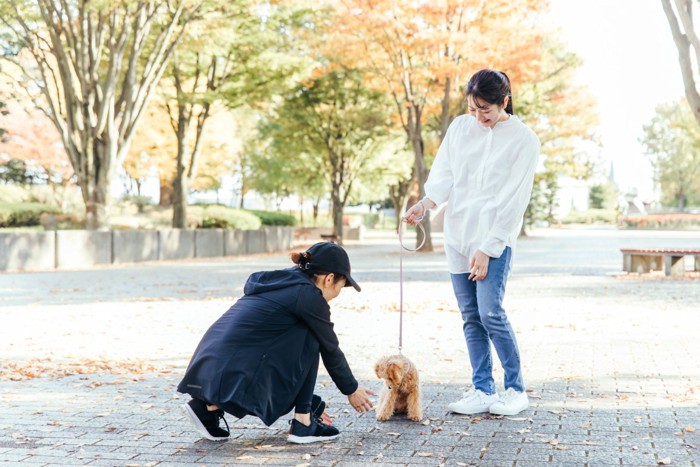 犬の散歩をする女性と挨拶する女性