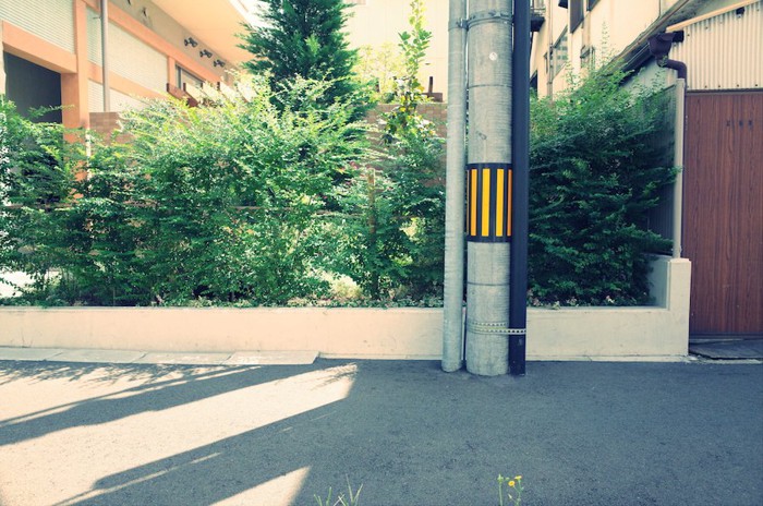 電信柱と歩道