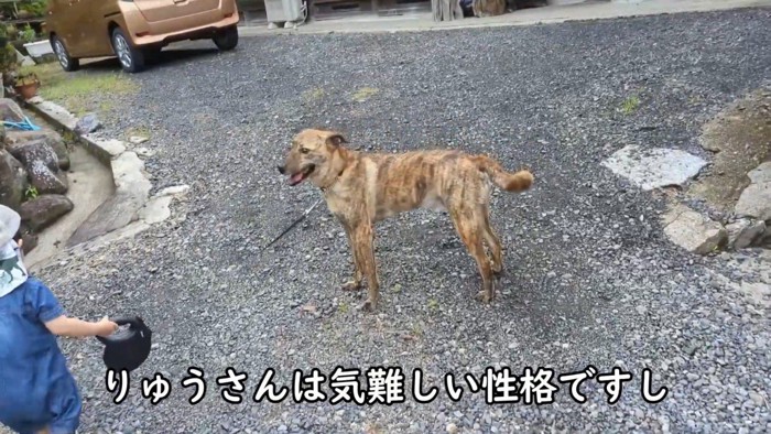 心配しながら待っていてくれました