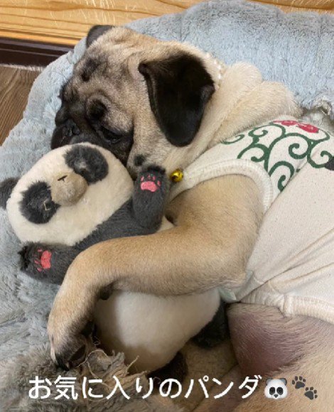 お気に入りもたくさん