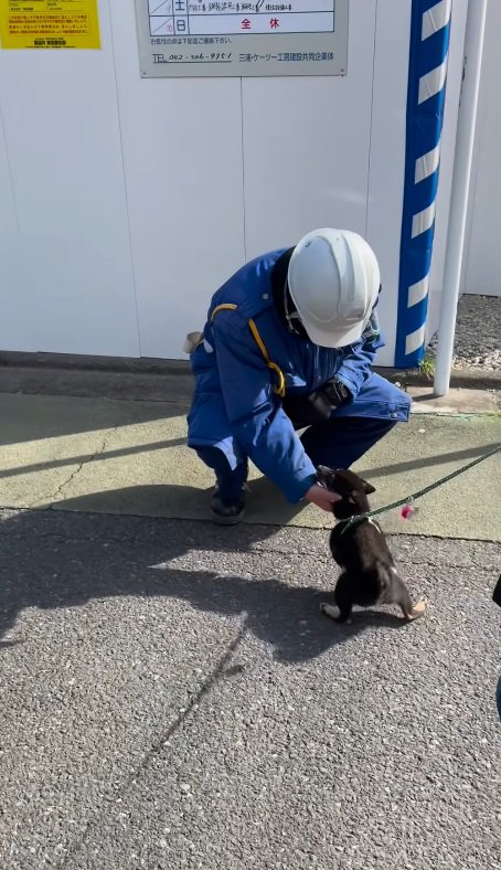 警備員さんも嬉しそう