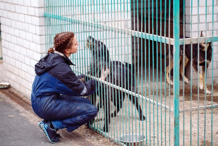 シェルターの犬とボランティアの女性