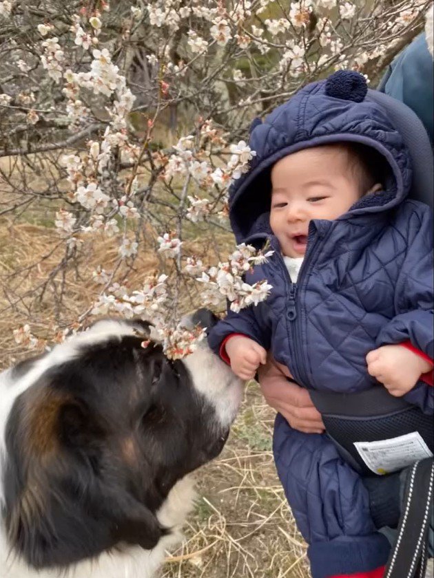 カイザーくんとの思い出3