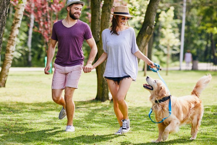 散歩するカップルと犬