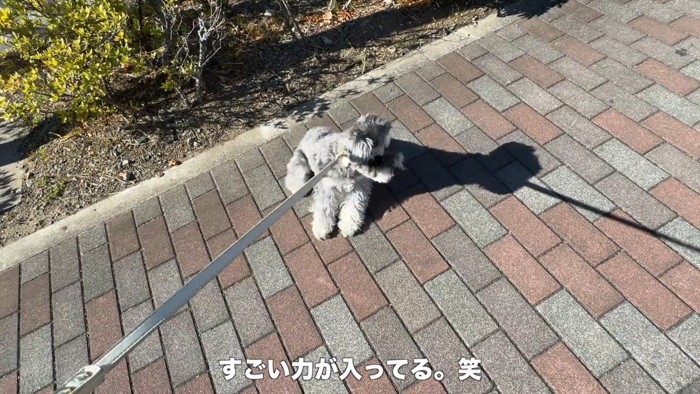 全力で拒否
