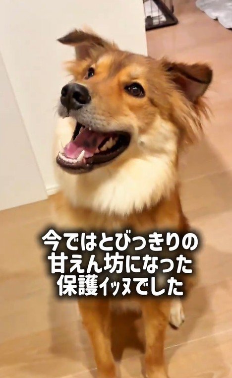 ラッキーくんの変化⑩