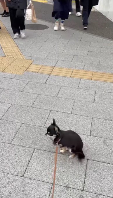 ママをお迎えに駅前へ