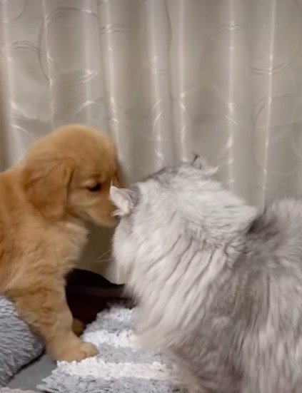 厳しい指導にも負けない…！！