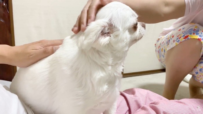 ナデナデ♡