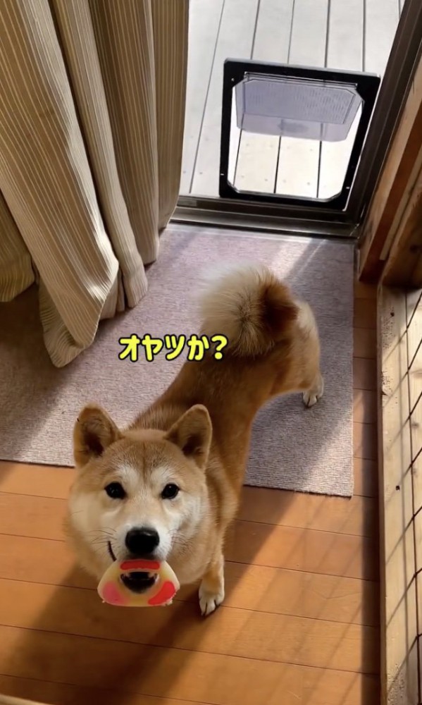 音を覚えた