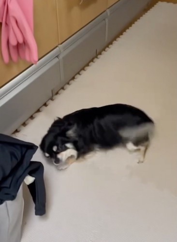 さまざまな技を駆使