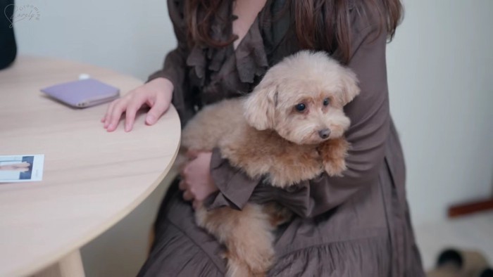 大満足のぽんずちゃんでした