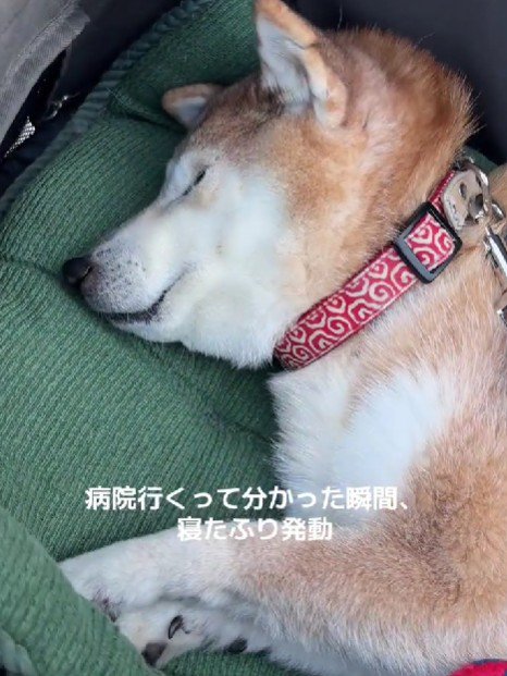 この日も絶望モードに…