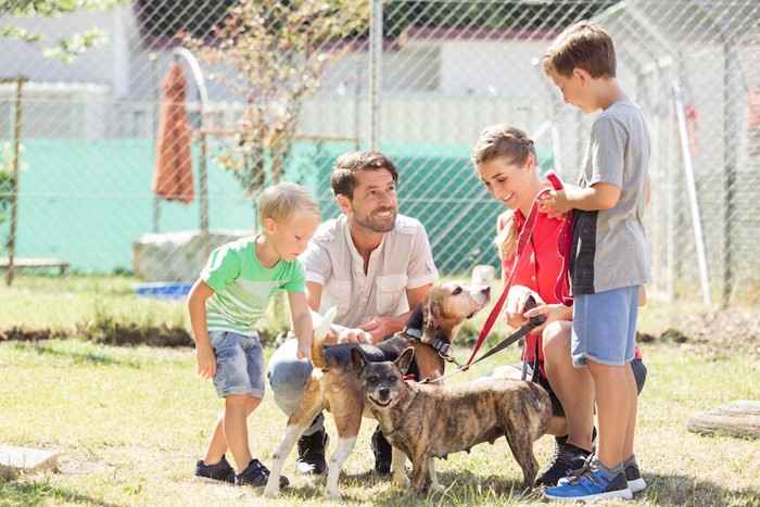 シェルターで犬を撫でる家族