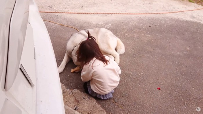 女の子と犬