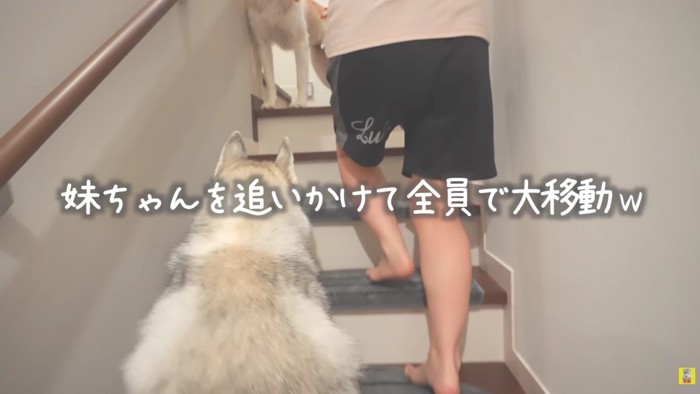 寝かしつけするって!