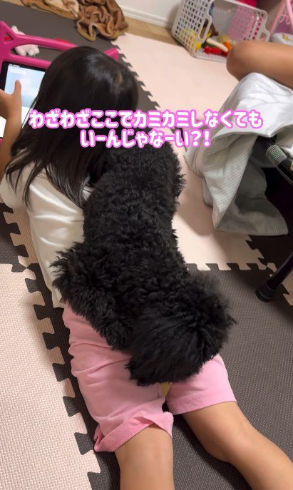 固い絆で結ばれています