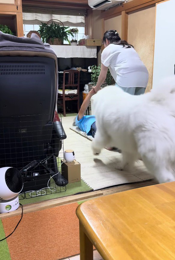 おばあちゃんが手助けすると…